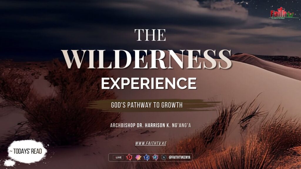 the wilderness experience