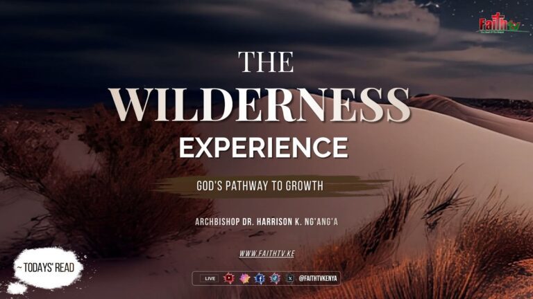 the wilderness experience